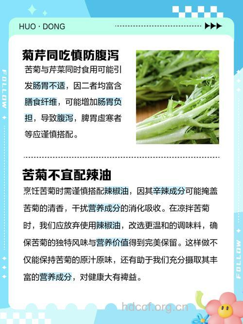苦菊不能和什么一起吃 加葱加蜂蜜易腹泻