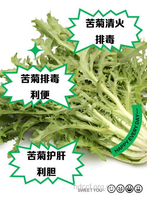 苦菊的功效有哪些 赶紧了解下