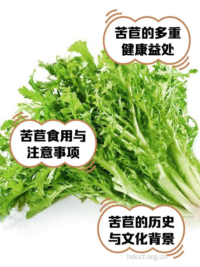 苦菊能生吃吗 详解其相克的食物