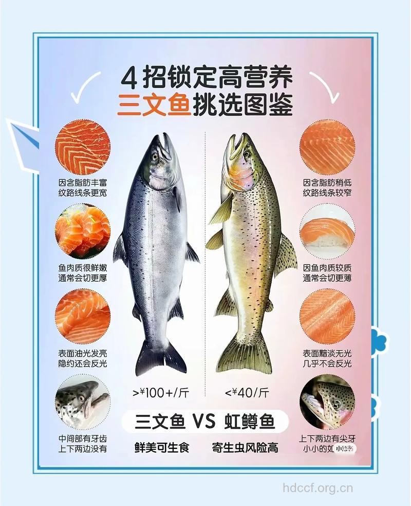 挑好鲜鱼更健康 谨记六种特征