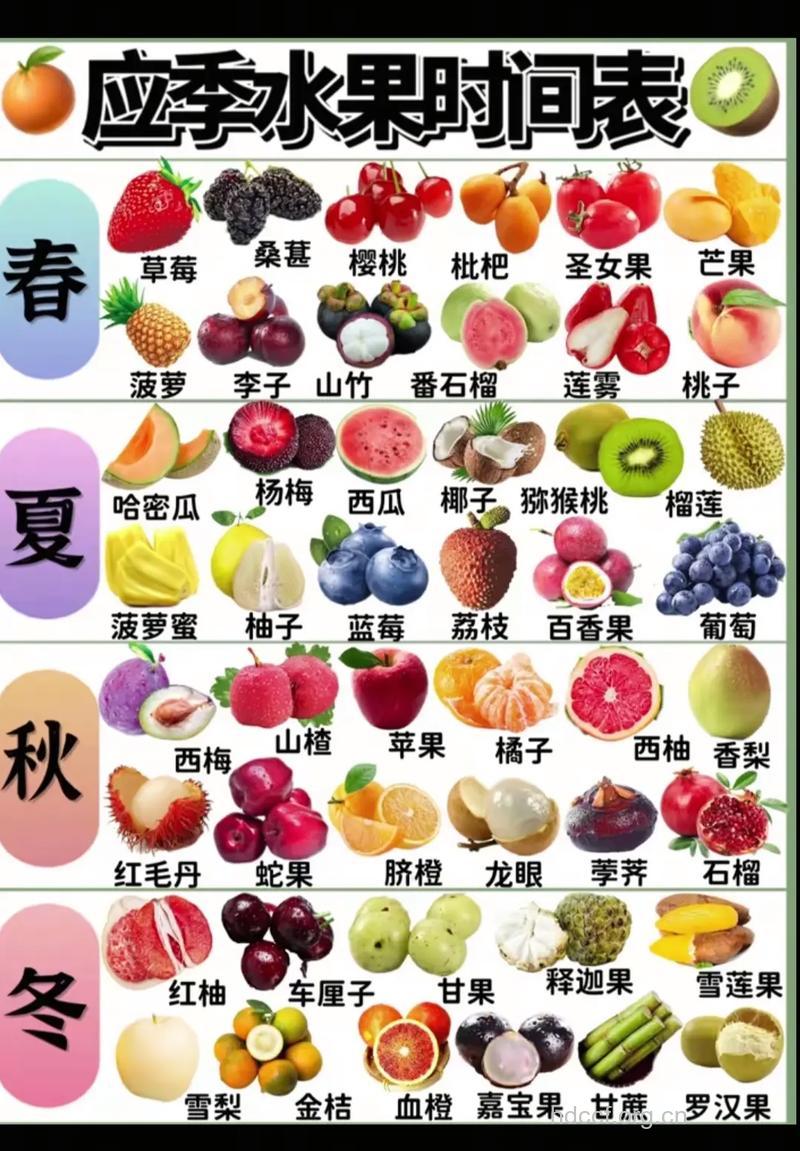 五大水果伴你度过炎炎夏日