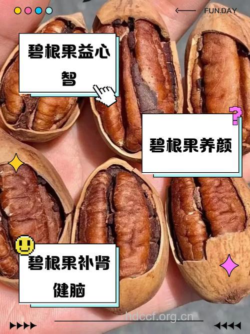 吃碧根果有什么坏处 警惕肥胖来袭