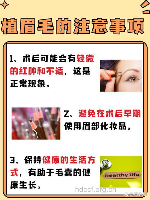 眉毛也能种出来 眉毛移植术要注意什么
