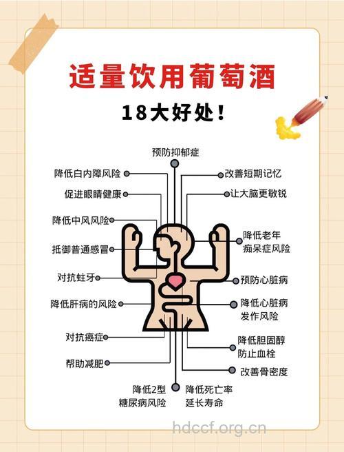 适量葡萄酒有利肾健康