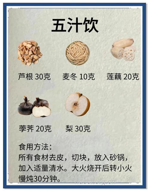 治疗“火气”大 喝杯五汁饮