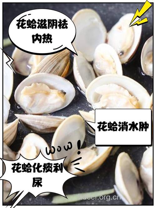 花蛤有什么营养 多吃对身体好
