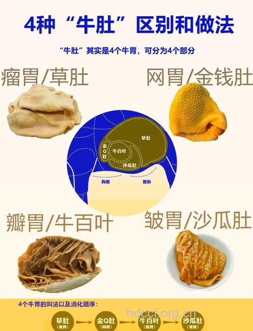 牛肚很好吃 四大营养要知道