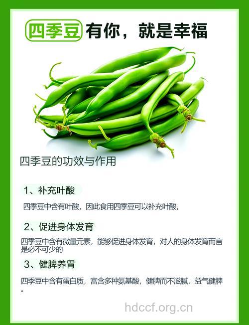 四季豆有五种营养价值