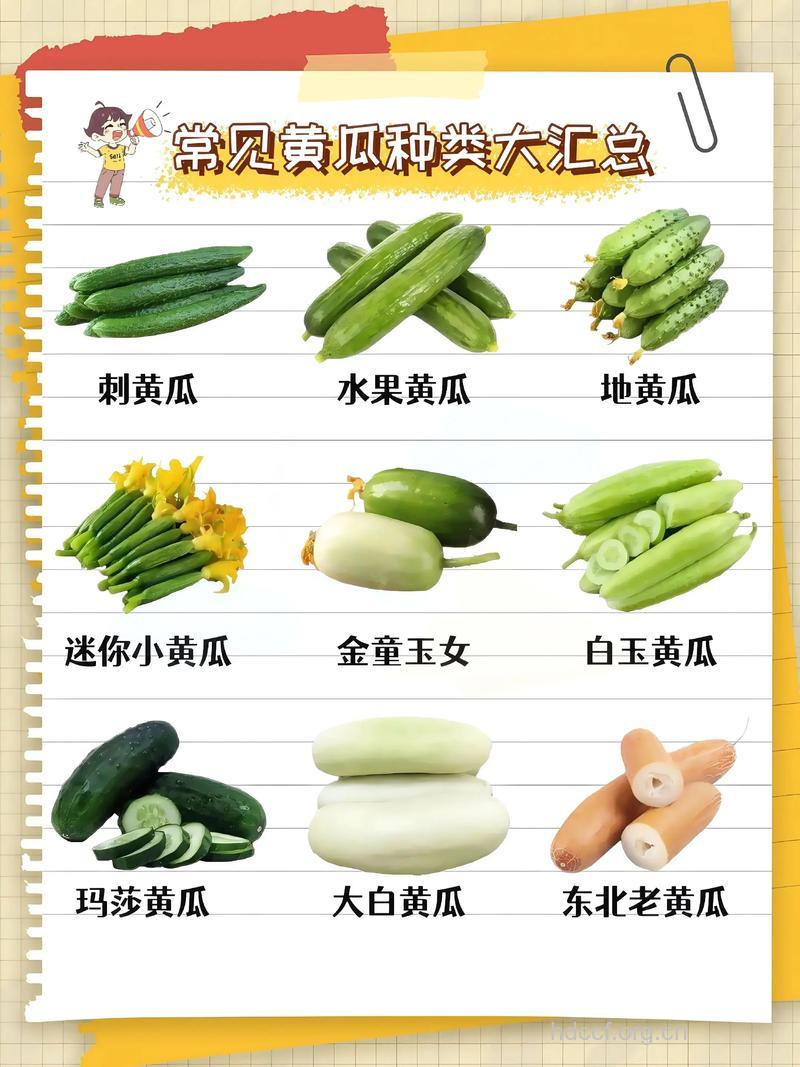 夏季要吃三类菜 瓜类蔬菜清热利湿
