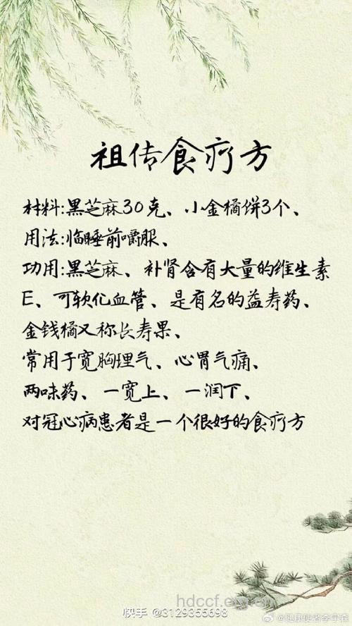 肾病中医药膳食疗方