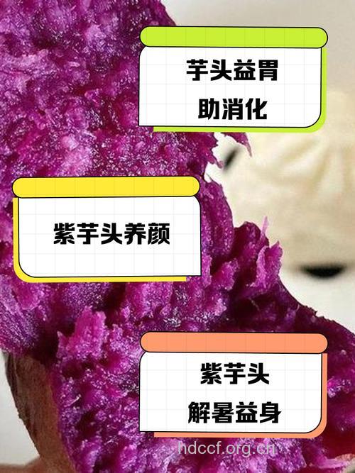 盘点紫芋头的四大营养功效
