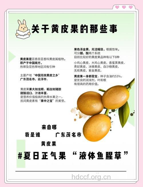 黄皮的四大功效与作用