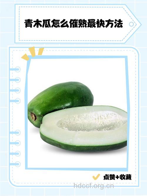 盘点青木瓜的三大食疗价值