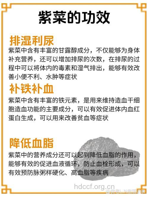 紫菜有什么功效与作用