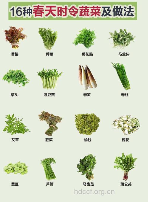 春季吃什么食物好