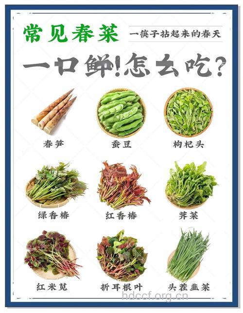 春季吃什么好 月份不同饮食不同