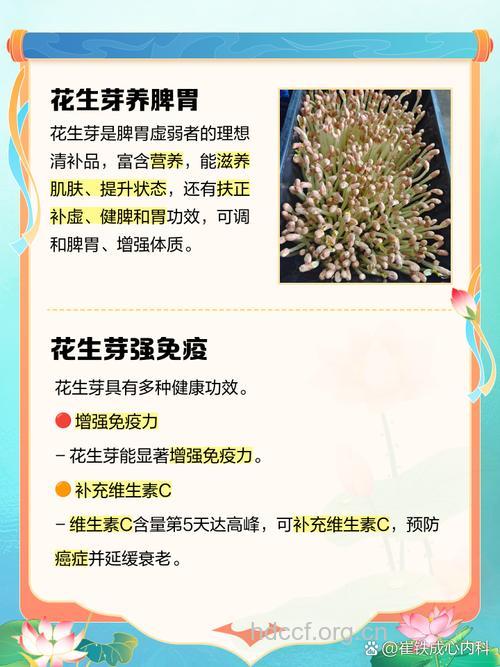 花生芽的营养价值