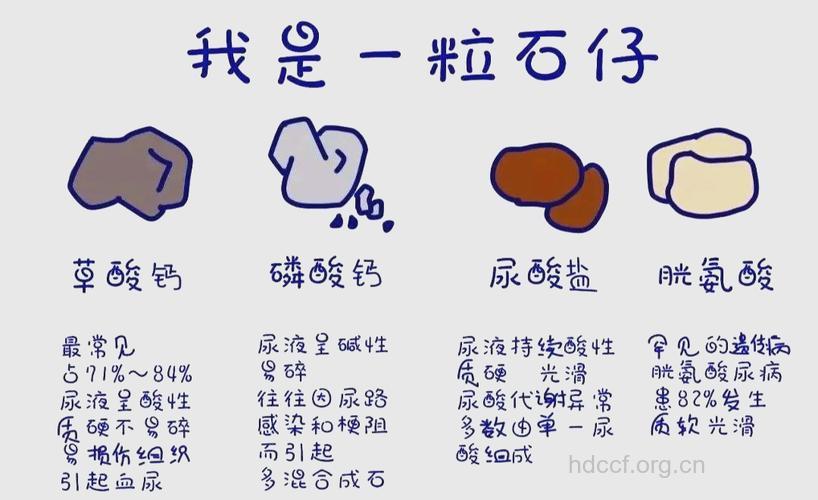 泌尿系统结石的成分