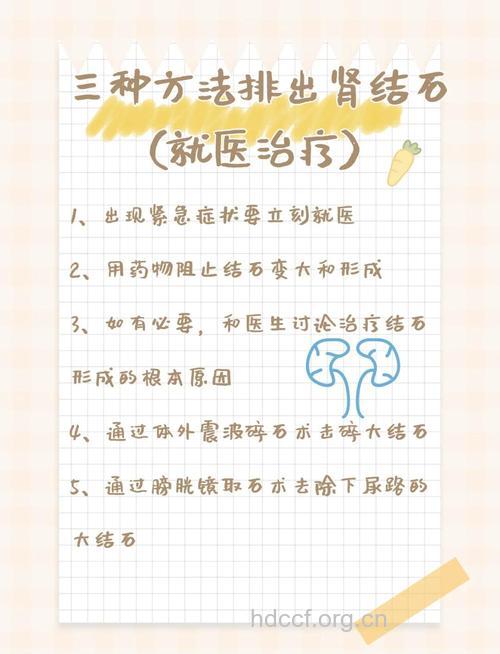 有的肾结石可以不用清除