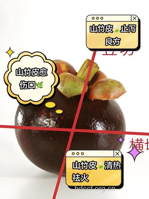 山竹皮的营养价值