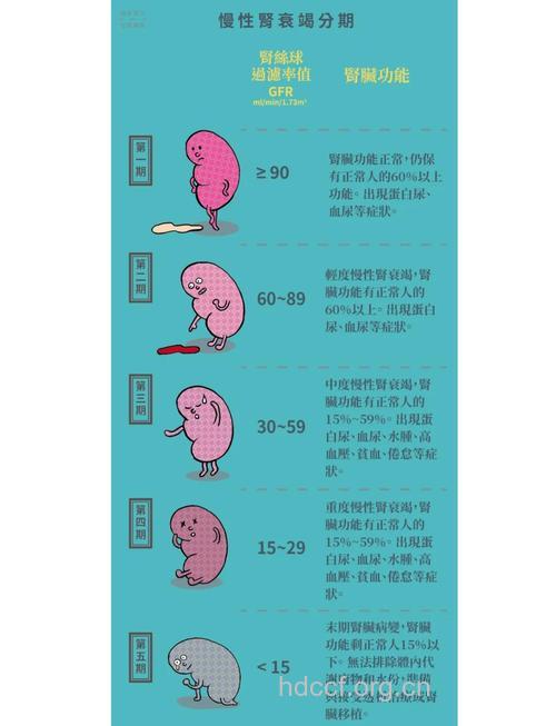 儿童慢性肾衰竭是什么 病因和成人不同