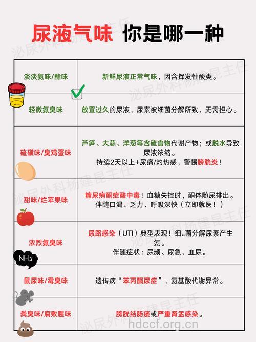 肾衰竭能“闻”出来?气味反应潜在疾病
