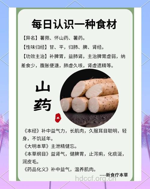 降糖养胃补肾 盘点淮山的功效与作用