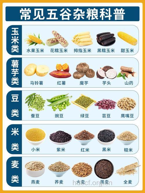 13种五谷杂粮的详细介绍
