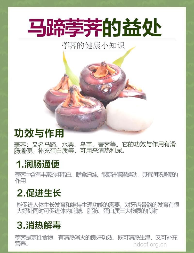 降压润肠解毒 盘点荸荠的功效与作用