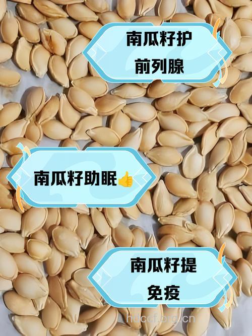 南瓜子有11个神奇的功效