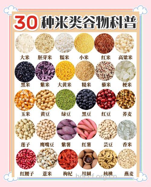 各种米分别有哪些营养价值