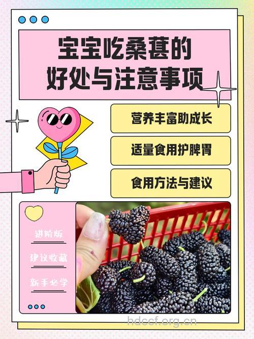吃桑葚好处多 对宝宝有五种功效