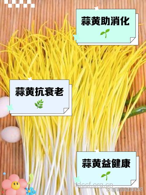 吃点蒜黄好处多 看这五点功效作用
