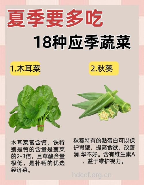 夏天吃什么菜好 详解10大夏季养生蔬菜