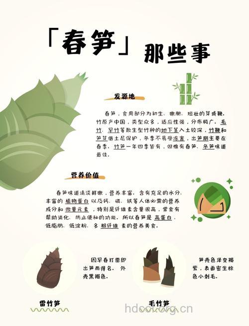 春笋的营养价值与做法