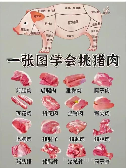 五招 让你成为挑猪肉的达人