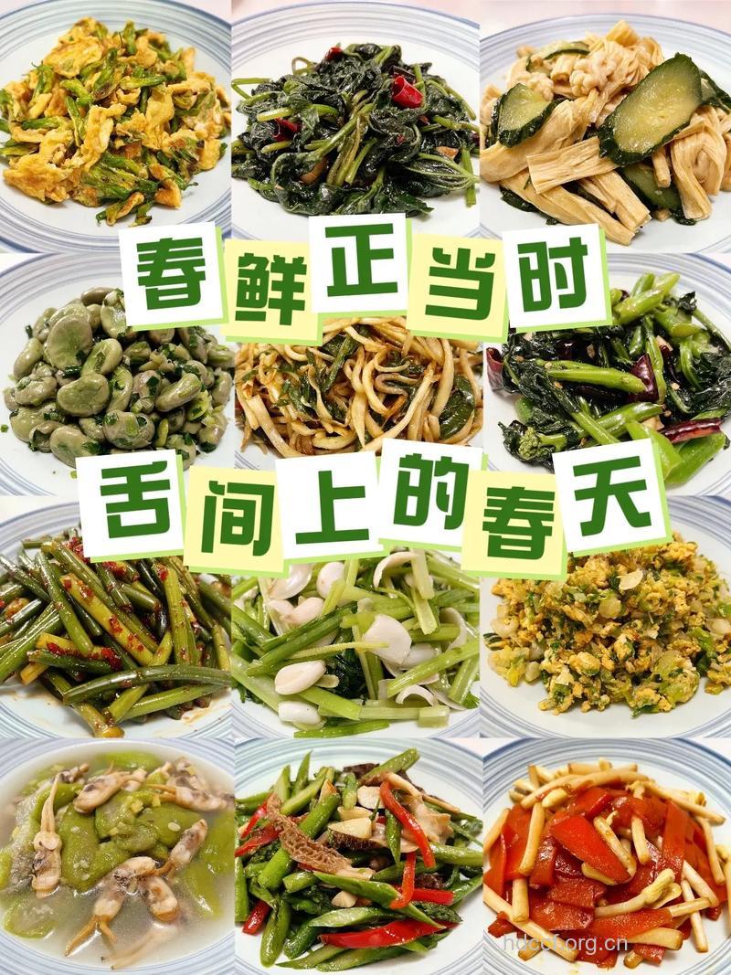 春天吃什么好 推荐这“三春”