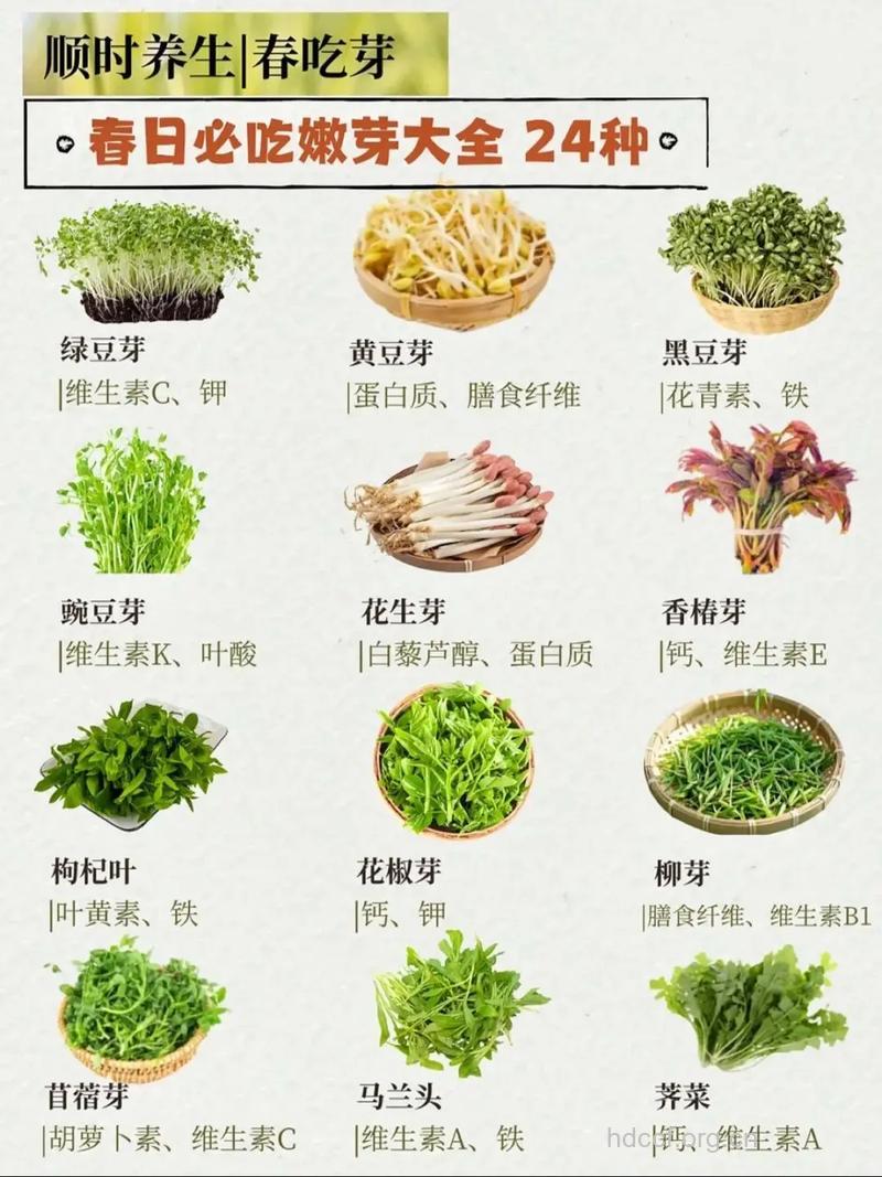 春季适合吃哪些蔬菜呢