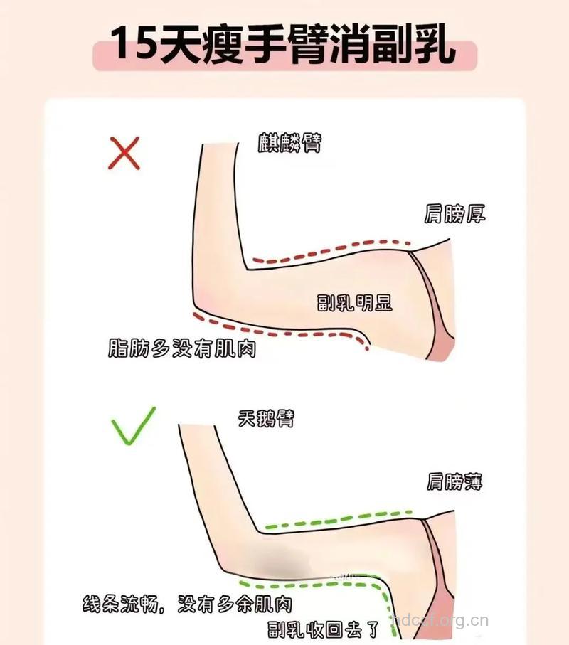 告诉你四种手臂减肥法
