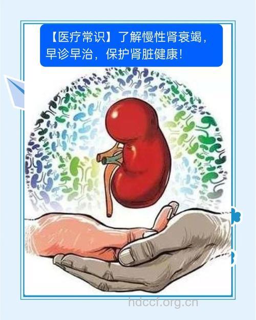 五招教你防止慢性肾衰竭