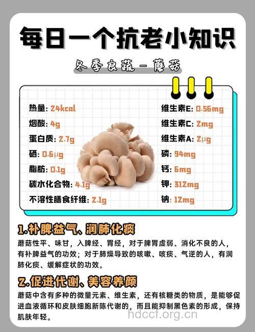 养生护肤 蘑菇的护肤功效