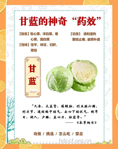 甘蓝的营养好比高丽参