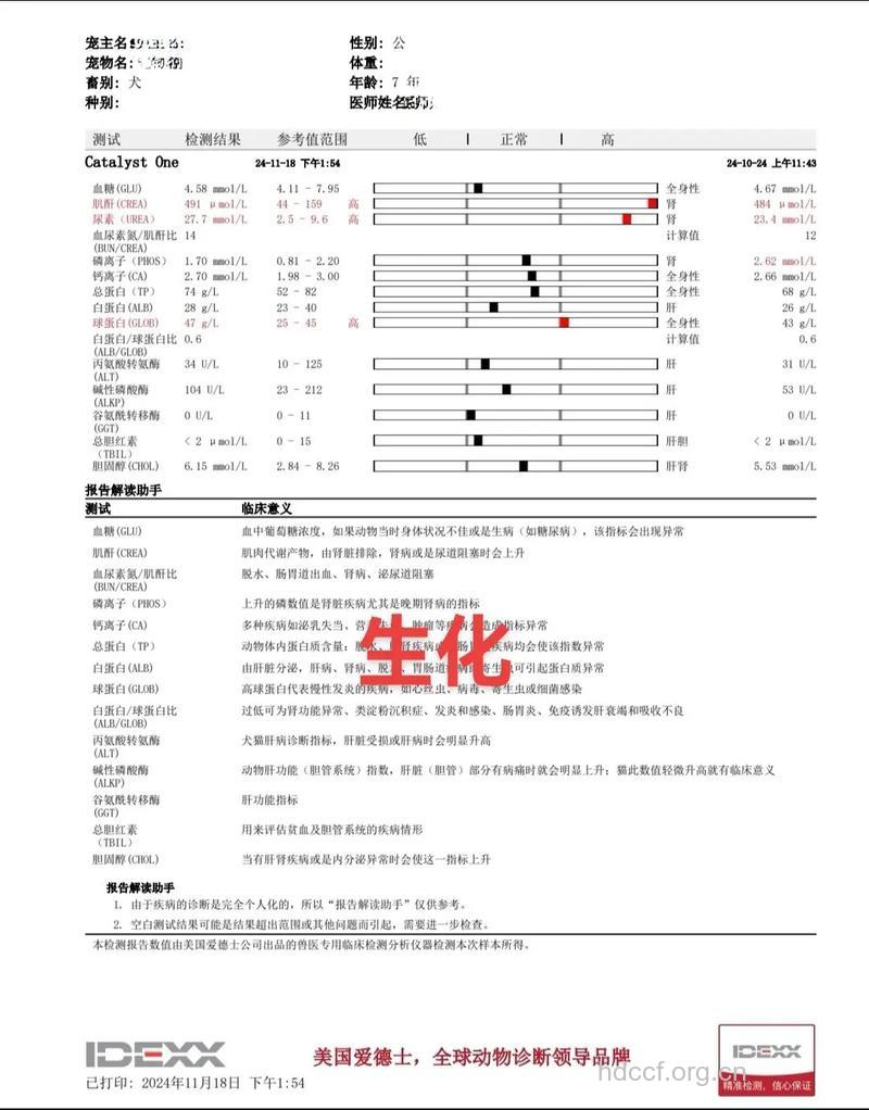 检查肾衰竭要做哪些检查