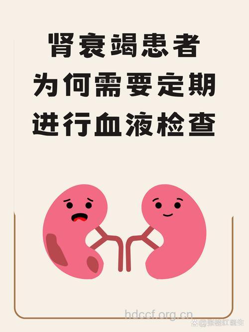 血液蛋白或可治愈肾衰竭