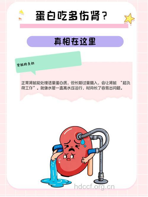 长期服用蛋白粉竟吃出肾衰竭