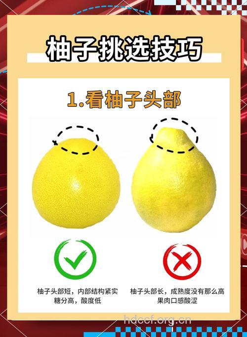 老司机教你挑柚子 柚子挑尖的还是圆的