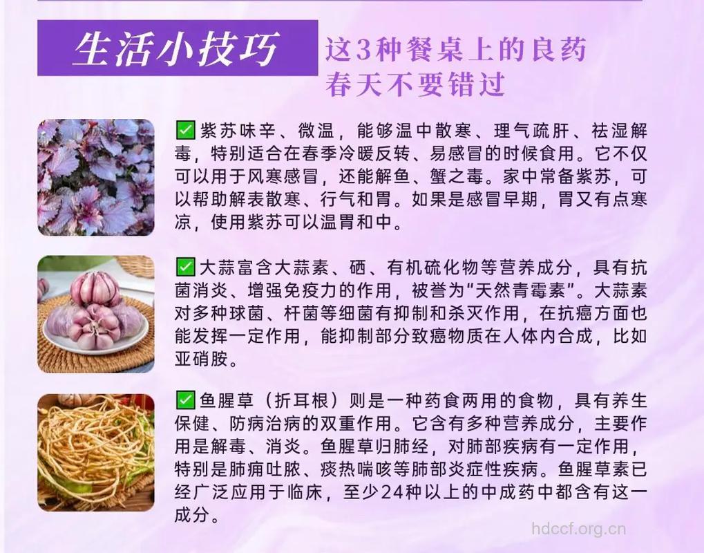 盘点餐桌上都有哪些良药