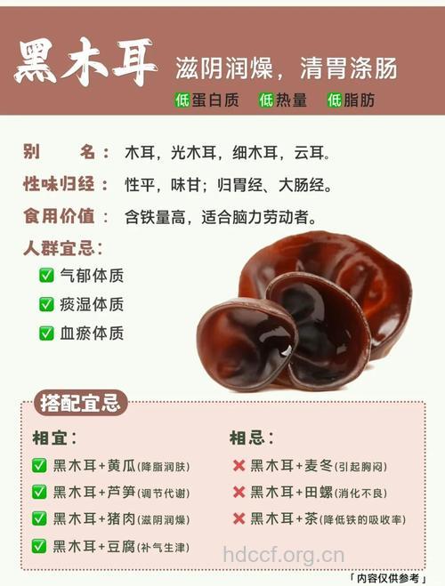 木耳可以生吃吗 最好是煮熟后吃