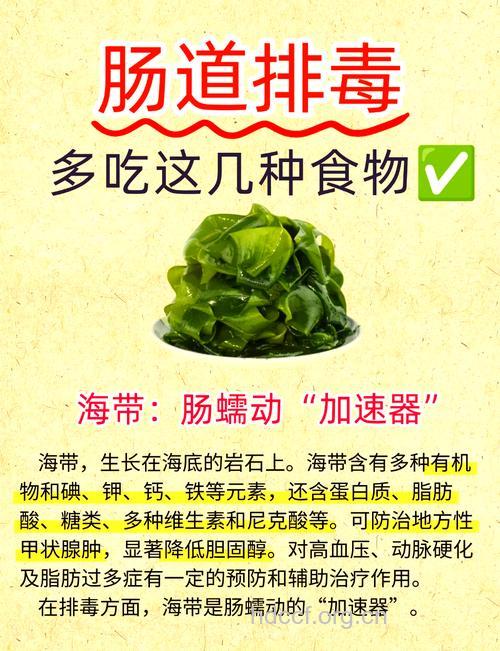 给肠道排毒吃五种食物