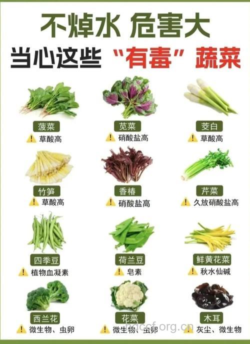 哪些蔬菜有药用价值 这六种想象不到